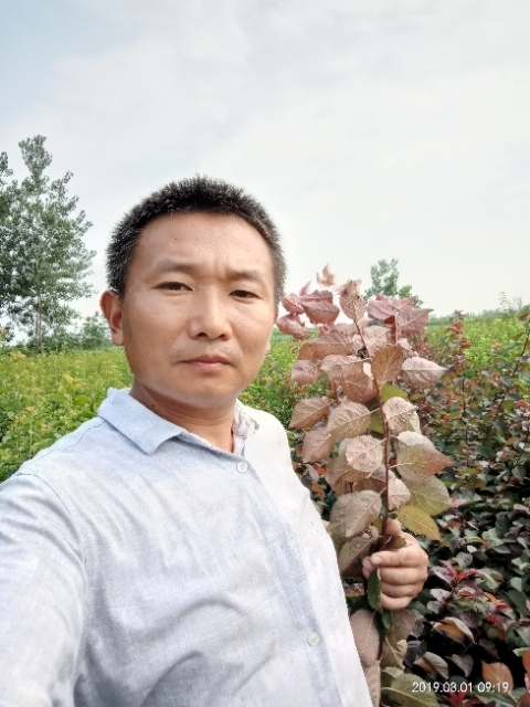 孩子爸的第一张照片--闽清交友网