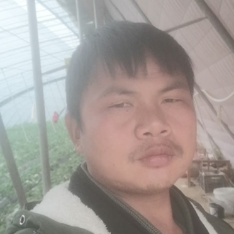 孤狼‘的第一张照片--闽清交友网