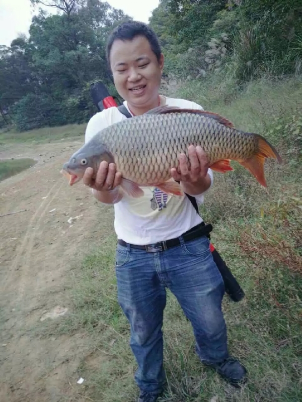 迷路的男人的第一张照片--闽清交友网